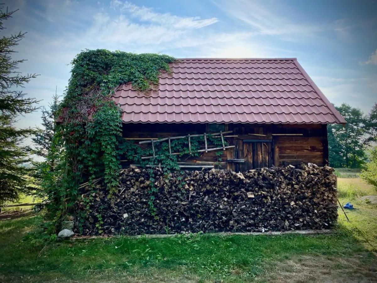 Domek W Lipiencu Razny Nowe المظهر الخارجي الصورة
